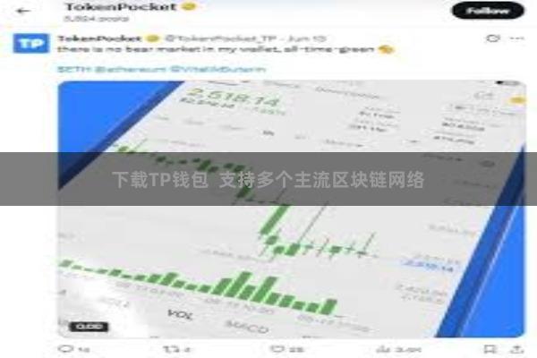 下载TP钱包 支持多个主流区块链网络