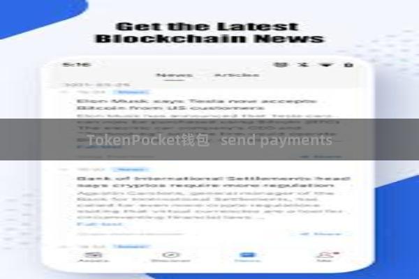 TokenPocket钱包 send payments
